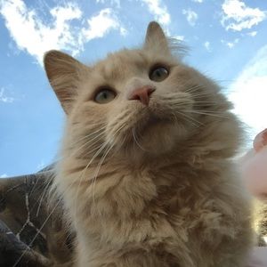 Meet your Posher, Christian